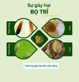 BỌ TRĨ GÂY HẠI CHO CÂY TRỒNG
