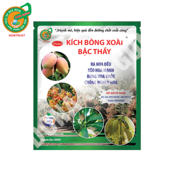 KÍCH BÔNG XOÀI BẬC THẦY (500gr)