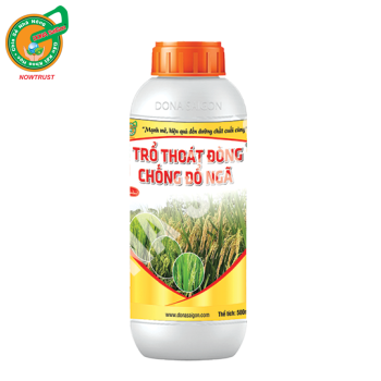 TRỔ THOÁT ĐÒNG - CHỐNG ĐỔ NGÃ (500ml)