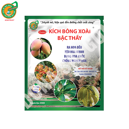 KÍCH BÔNG XOÀI BẬC THẦY (500gr)