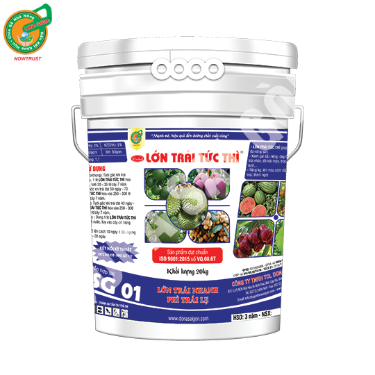 LỚN TRÁI TỨC THÌ (20kg)